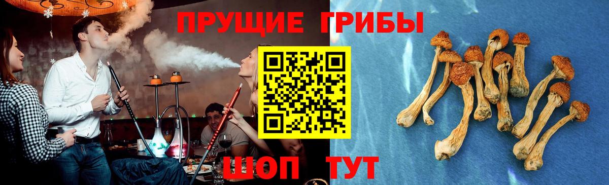 Абакан  Галлюциногенные грибы Psilocybine cubensis  купить  цена  Вход с VPN 